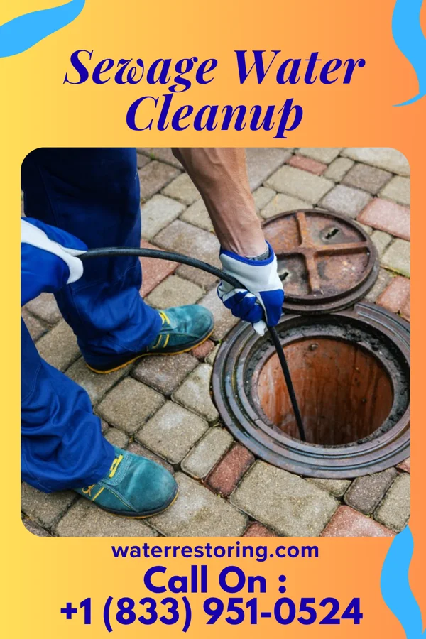 Sewage Water Cleanup in Overbrook, KS